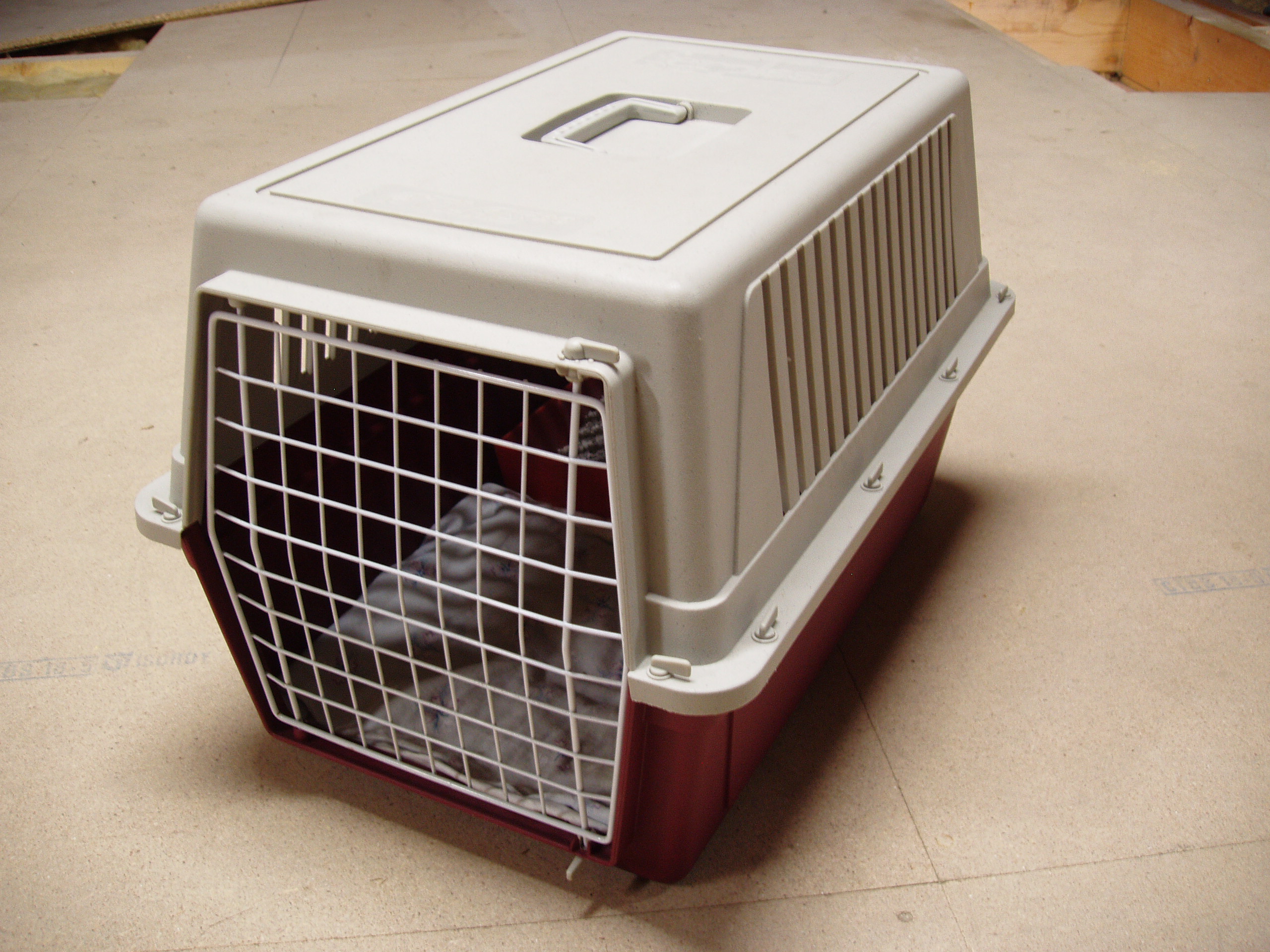 Annonce      Animaux      annecy saint martin bellevue caisse de transp.