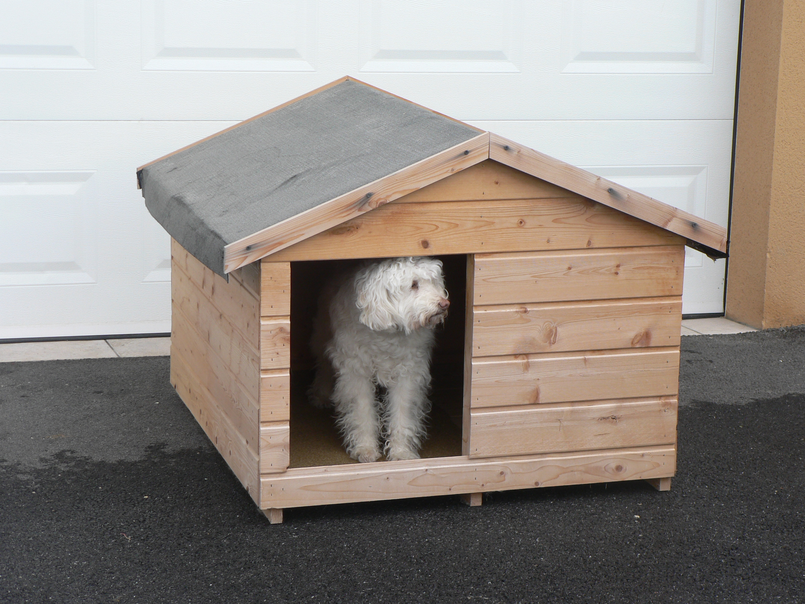 Annonce Animaux annecy evires niche chien bois neuve.