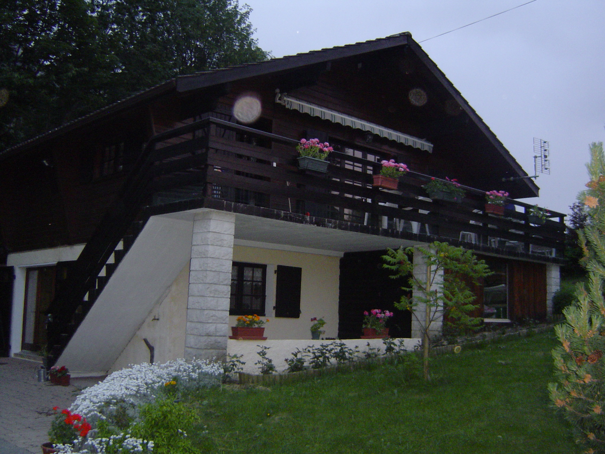 Annonce Immobilier annecy thorens gliere vends chalet montpiton.